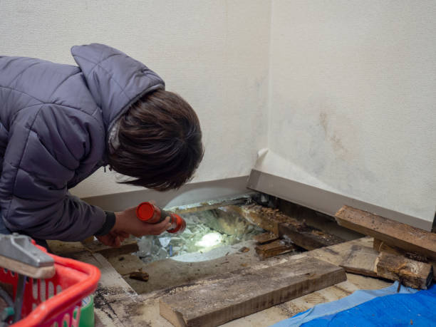 Best Mold Remediation for Healthcare Facilities  in Fordyce, AR