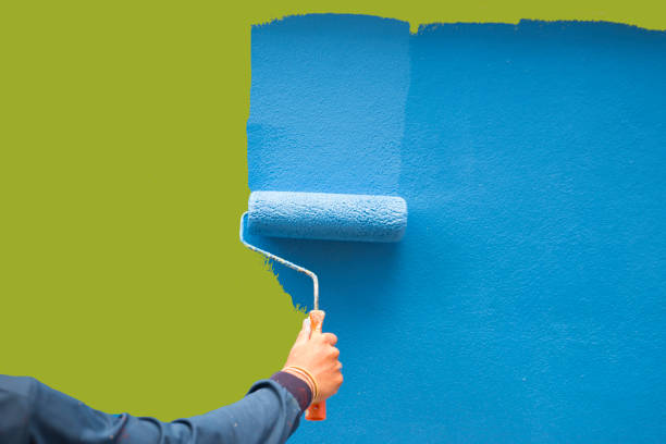 Professional Mold Removal in Fordyce, AR