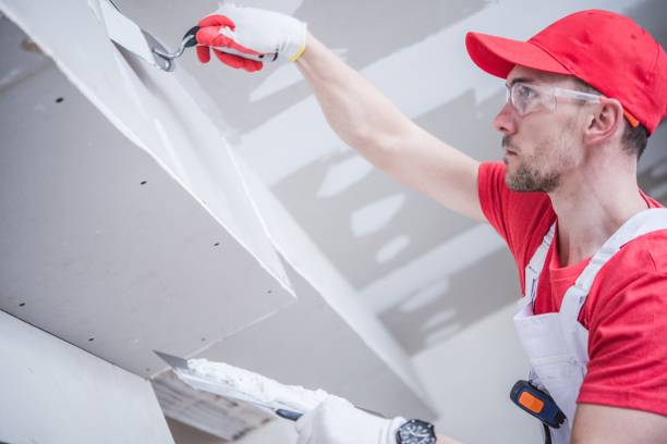 Best Mold Damage Restoration  in Fordyce, AR